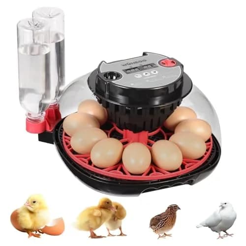 ZEMIRO CHARGE Series II Incubator 12 Egg | Auto Humidity & Temp Control, Beginner Friendly thumbnail 1
