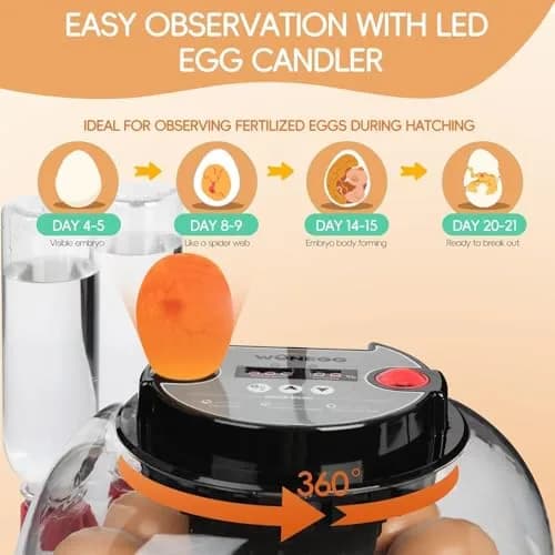 ZEMIRO CHARGE Series II Incubator 12 Egg | Auto Humidity & Temp Control, Beginner Friendly thumbnail 5