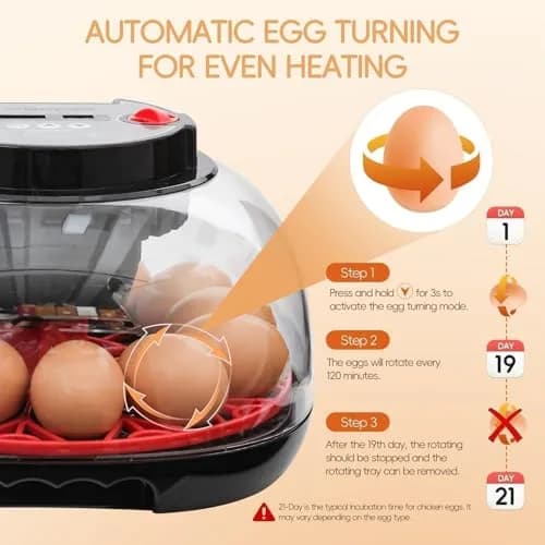 ZEMIRO CHARGE Series II Incubator 12 Egg | Auto Humidity & Temp Control, Beginner Friendly thumbnail 3