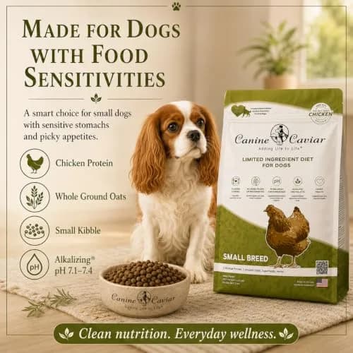 Canine Caviar Small Breed Dry Dog Food Chicken & Whole Ground Oats 22 lb | Grain-Free, pH Balanced thumbnail 4