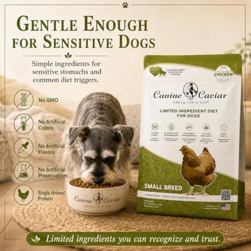 Canine Caviar Small Breed Dry Dog Food Chicken & Whole Ground Oats 22 lb | Grain-Free, pH Balanced thumbnail 5