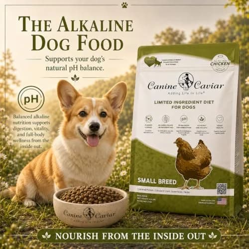 Canine Caviar Small Breed Dry Dog Food Chicken & Whole Ground Oats 22 lb | Grain-Free, pH Balanced thumbnail 6