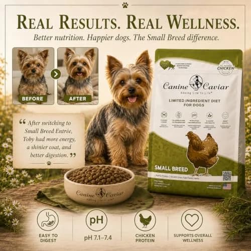 Canine Caviar Small Breed Dry Dog Food Chicken & Whole Ground Oats 22 lb | Grain-Free, pH Balanced thumbnail 9