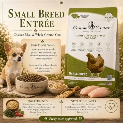 Canine Caviar Small Breed Dry Dog Food Chicken & Whole Ground Oats 22 lb | Grain-Free, pH Balanced thumbnail 2