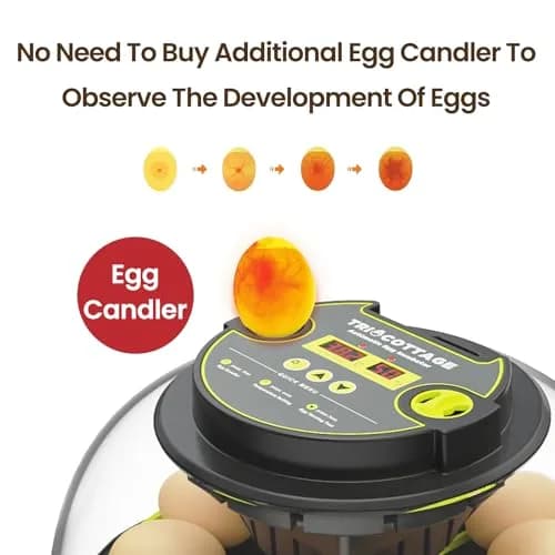 TRIOCOTTAGE 12 Egg Incubator with Automatic Turning & Humidity Control, 7.5"x7.5"x6.6" | Lab Supply for Hatching thumbnail 5