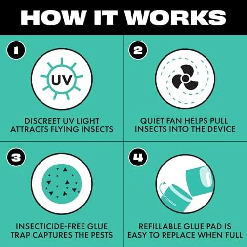STEM Flying Insect Indoor Fan Trap, UV Light, 1 Device + 5 Glue Traps | Quiet, Portable Pest Control thumbnail 8