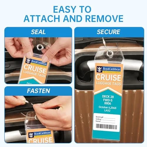 Teskyer Clear Cruise Luggage Tag Holder 8 Pack | Waterproof PVC with Steel Loop thumbnail 6