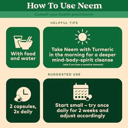 ORGANIC INDIA Neem Leaf Capsules | Herbal Supplement for Immunity & Detox, 180 Capsules thumbnail 5