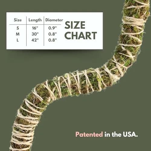 Mossify Bendable Moss Pole 3 Pack Assorted 16/30/42'' | Original Patented Design for Climbing Plants thumbnail 8