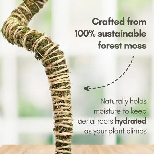 Mossify Bendable Moss Pole 3 Pack Assorted 16/30/42'' | Original Patented Design for Climbing Plants thumbnail 3