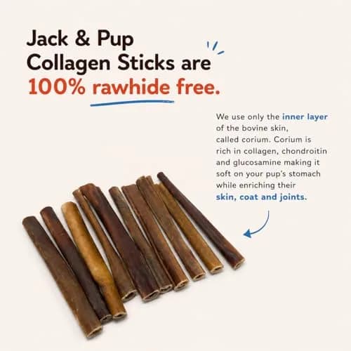 Jack&Pup Collagen Sticks for Dogs 4 Pack | Rawhide-Free, Long Lasting 6 inch Chews thumbnail 4