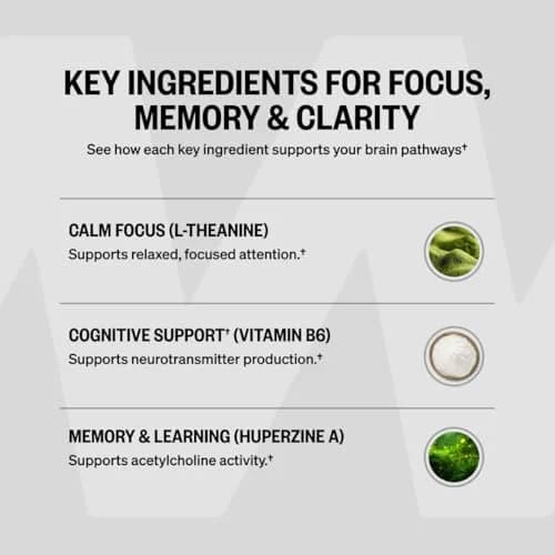 ONNIT Alpha Brain Nootropic Brain Supplement for Focus & Memory, 60 Count | Supports Cognitive Function thumbnail 6