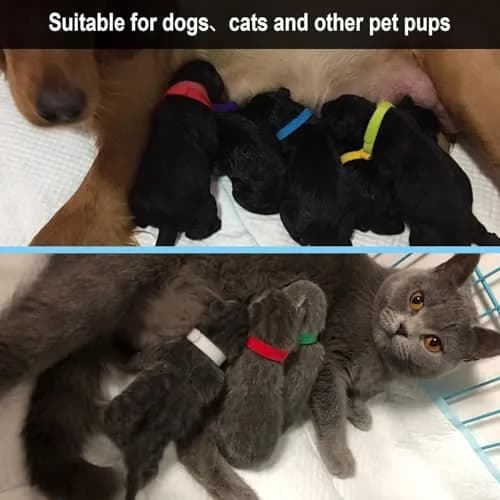 FEBSNOW Puppy Kitten Whelping Collars, 20 Colors, 23cm (9") | Soft Velvet Lined ID Bands for Newborn Pets thumbnail 6