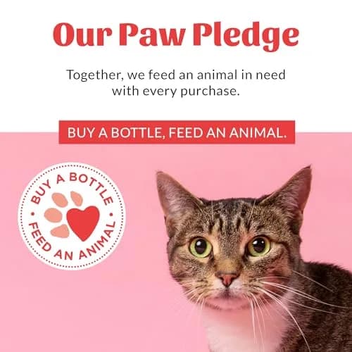 SKOUT'S HONOR Probiotic Cat Ear Cleaner 4 oz | Alcohol-Free, Fragrance-Free, Non-Medicated thumbnail 9