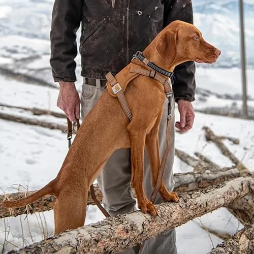 Carhartt Nylon Duck No Pull Dog Harness Deep Wine XL | Adjustable Dog Harness with Control Handle & Reflective Stitching thumbnail 5