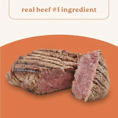 CANIDAE All Life Stages Beef & Vegetable Chunky Stew 12.7 oz Pack of 6 | Hearty Real Meat & Veg for Dogs thumbnail 4