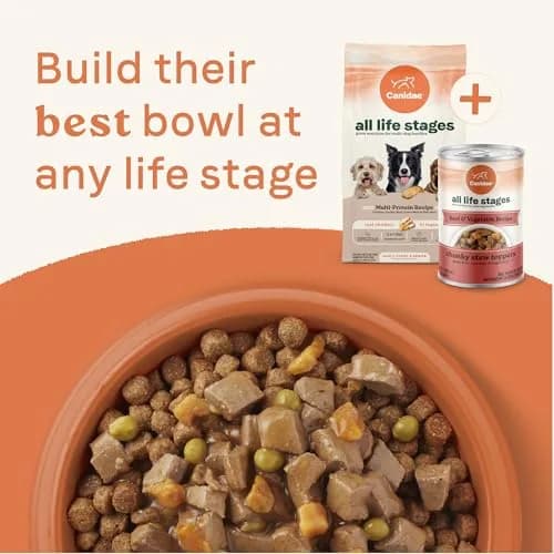 CANIDAE All Life Stages Beef & Vegetable Chunky Stew 12.7 oz Pack of 6 | Hearty Real Meat & Veg for Dogs thumbnail 9