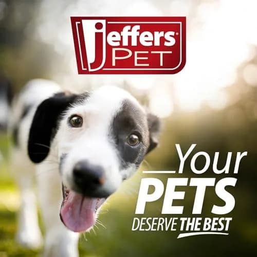 Jeffers Pet Ear Cleaning Solution for Dogs, Cats & Puppies | Aloe Vera Ear Wash for Wax & Odor Removal, Itchy Ear Comfort, Routine Ear Hygiene, Travel Friendly thumbnail 5