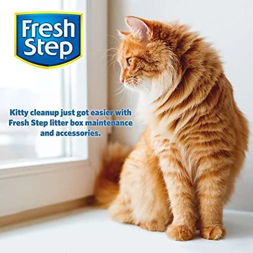 Fresh Step Summer Breeze Cat Litter Deodorizing Crystals 30 Oz | Supports Odor Control & Freshness thumbnail 8