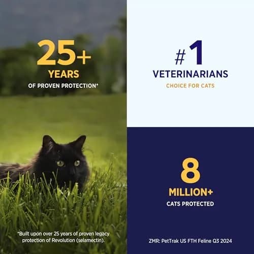Revolution Plus Topical Solution for Cats 2.8-5.5 lbs | 7-in-1 Parasite Protection thumbnail 4