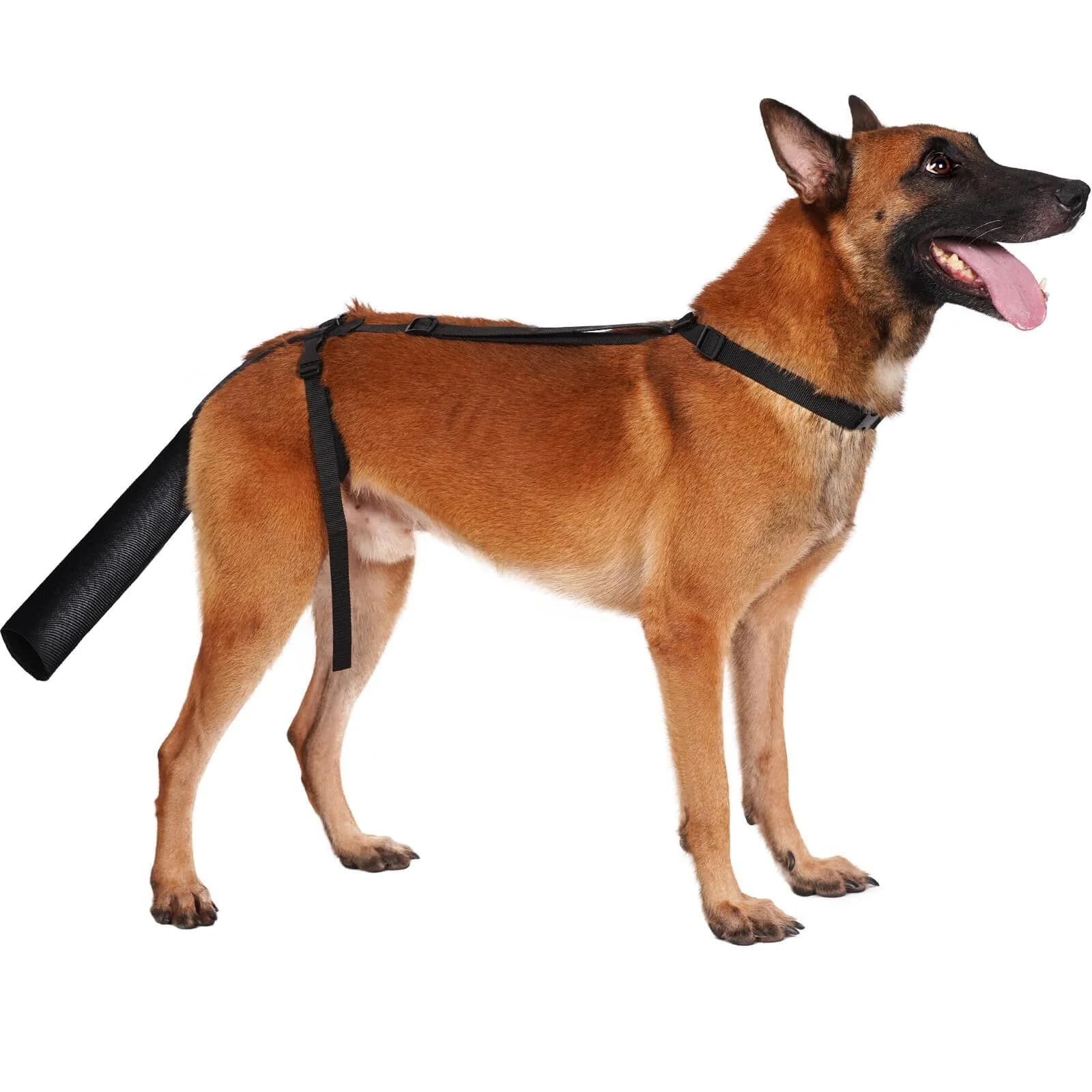 BARKLESS Dog Tail Protector Size L | Wound Cover for Medium & Large Dogs, Breathable & Adjustable — Black