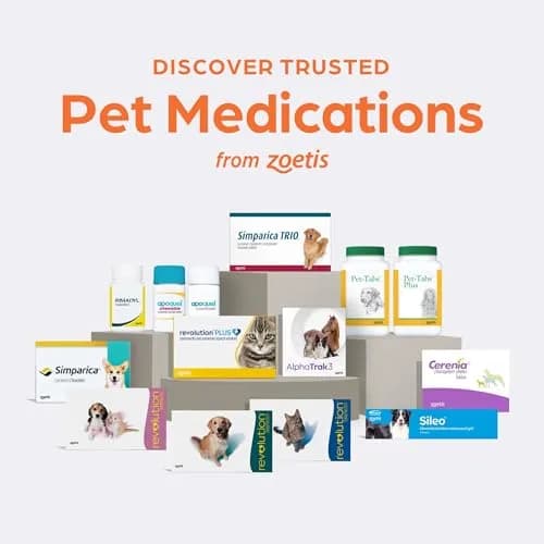Cerenia (maropitant citrate) for Dogs 160 mg | Prevents Vomiting & Motion Sickness thumbnail 14