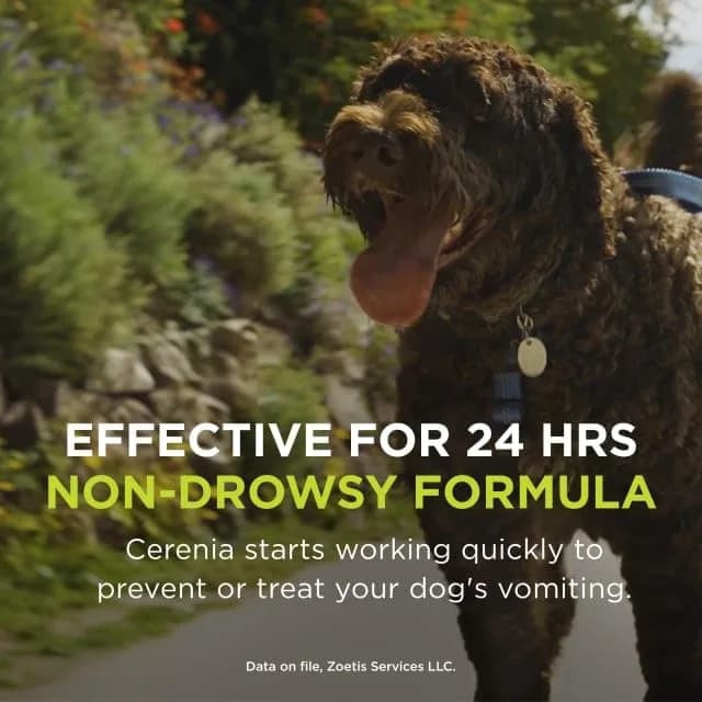 Cerenia (maropitant citrate) for Dogs 160 mg | Prevents Vomiting & Motion Sickness thumbnail 10