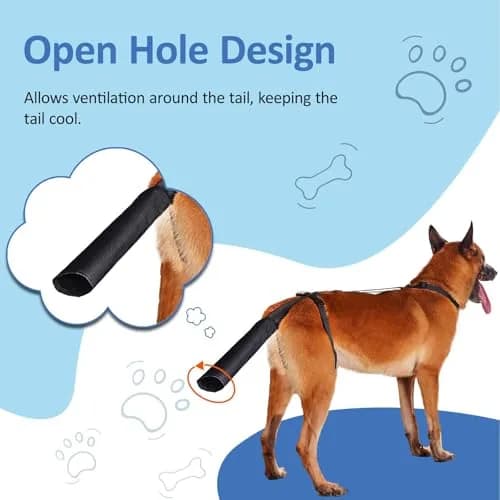 BARKLESS Dog Tail Protector Size L | Wound Cover for Medium & Large Dogs, Breathable & Adjustable thumbnail 5