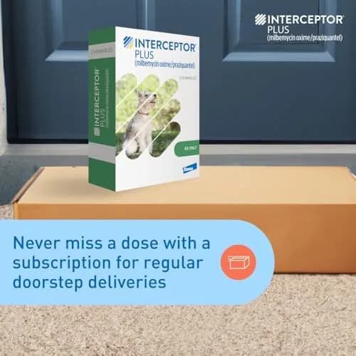 Interceptor Plus Monthly Tablets for Dogs 25.1-50 lbs. | 5-in-1 Heartworm & Worm Protection thumbnail 7