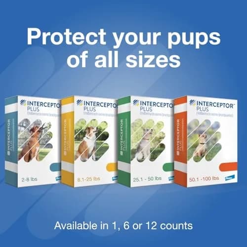 Interceptor Plus Monthly Tablets for Dogs 25.1-50 lbs. | 5-in-1 Heartworm & Worm Protection thumbnail 9