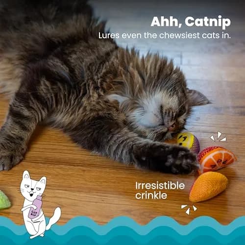 Catstages Dental Fruit Wedges Catnip Chew Toys 5.3" (13.5cm) 4-Pack | Textured Dental Mesh for Teeth Cleaning thumbnail 3