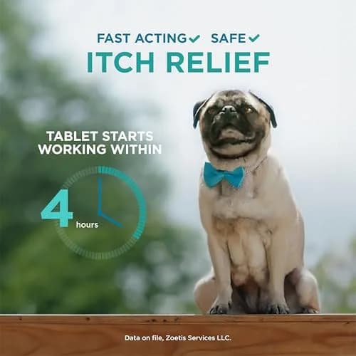 Apoquel for Dogs 5.4 mg | Fast Relief for Allergic Itch in Dogs 12+ Months thumbnail 4