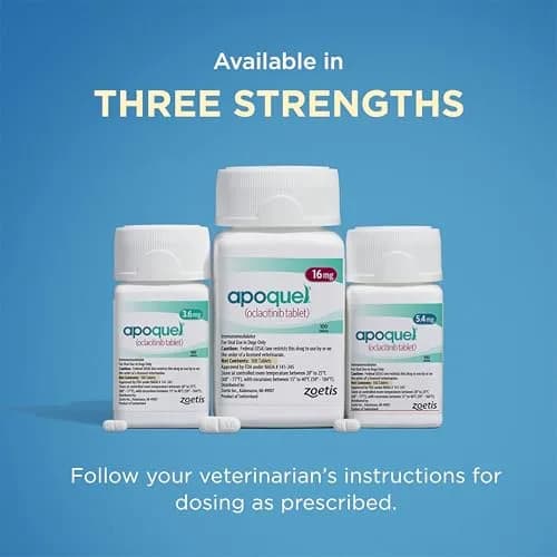 Apoquel for Dogs 5.4 mg | Fast Relief for Allergic Itch in Dogs 12+ Months thumbnail 7