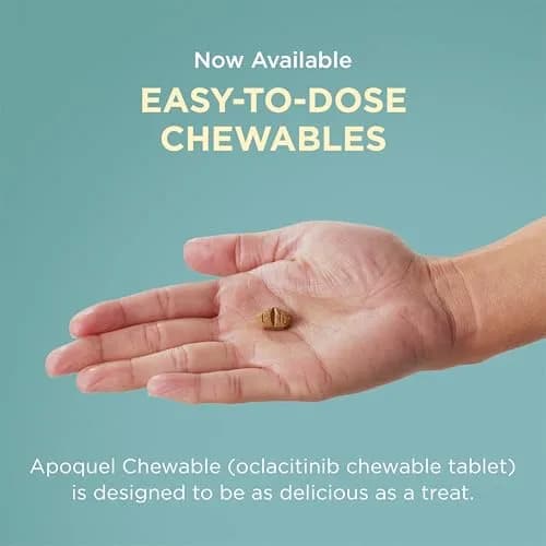 Apoquel for Dogs 5.4 mg | Fast Relief for Allergic Itch in Dogs 12+ Months thumbnail 8