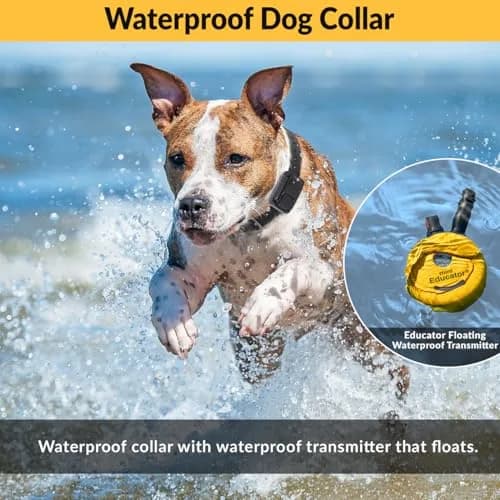 Mini Educator ET-300 Remote Dog Training Collar, Red | 1/2 Mile Range, Humane Vibration & Tone thumbnail 5