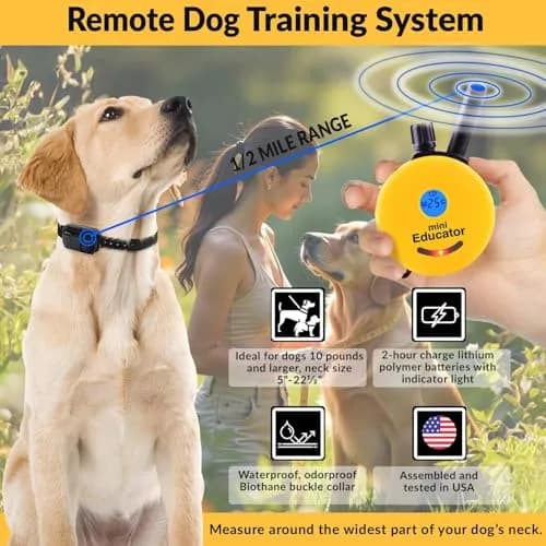 Mini Educator ET-300 Remote Dog Training Collar, Red | 1/2 Mile Range, Humane Vibration & Tone thumbnail 3
