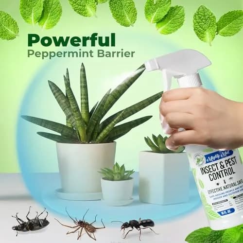 Mighty Mint Peppermint Oil Insect Repellent Spray 16 Fl Oz (Pack of 2) | Natural Spider & Ant Control thumbnail 5