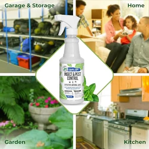 Mighty Mint Peppermint Oil Insect Repellent Spray 16 Fl Oz (Pack of 2) | Natural Spider & Ant Control thumbnail 3
