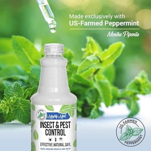 Mighty Mint Peppermint Oil Insect Repellent Spray 16 Fl Oz (Pack of 2) | Natural Spider & Ant Control thumbnail 4