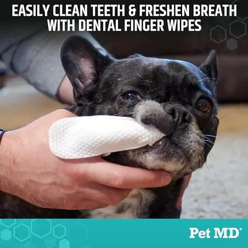 Pet MD Pet Dental Finger Wipes for Dogs - Fresh Apple & Mint Flavor - 50ct | Gentle, Effective Oral Hygiene Support thumbnail 2