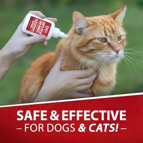 Jeffers Anti-Itch Ear Drops for Dogs & Cats 2 fl oz | Supports Ear Comfort & Hygiene thumbnail 8