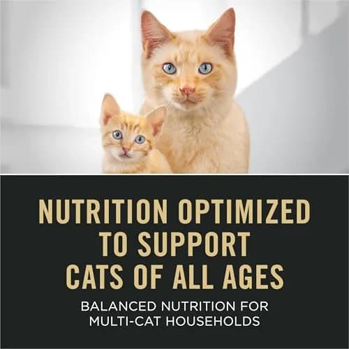 Purina Pro Plan All Life Stages Pate Wet Cat Food Variety Pack, (24) 3 oz | Complete Nutrition for Cats thumbnail 3