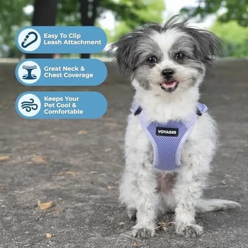 Voyager Step-in Flex Adjustable Dog Harness - Lavender, Small | Breathable Air Mesh, 3M Reflective, No-Pull Design thumbnail 2