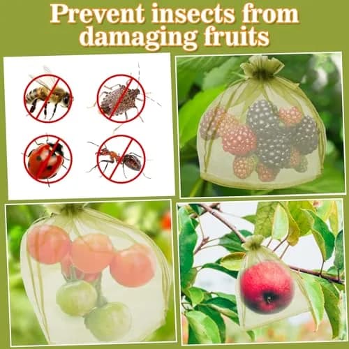 Sukh 100PCS Fruit Protection Bags 6"x8" | Mesh Organza Fruit Nets for Tree & Vegetables thumbnail 6