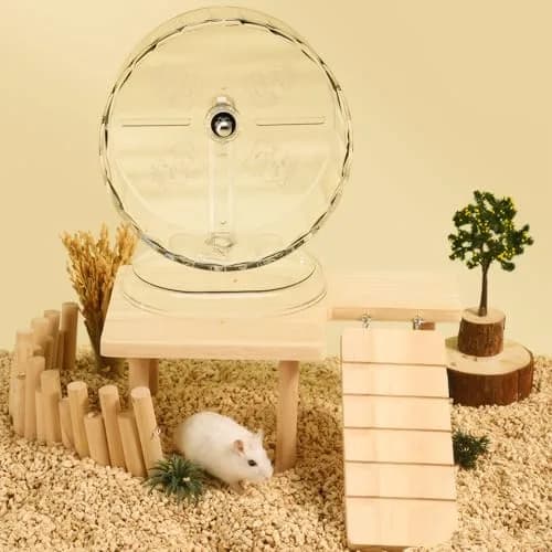 Fanlahmtasy 9.5in Large Hamster Wheel | Whisper-Quiet & Adjustable for Syrian Hamsters thumbnail 8