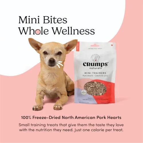 Crumps’ Naturals Mini Trainers Freeze Dried Pork Hearts 1.9oz | Protein & Training Reward (120c) thumbnail 2