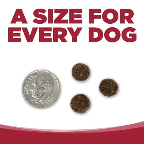 NutriSource Choice Beef & Barley Dog Food 40lb | Probiotics & Wholesome Nutrition thumbnail 4