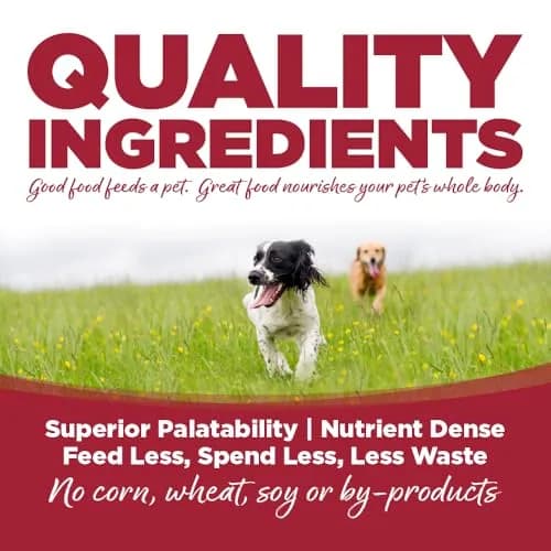 NutriSource Choice Beef & Barley Dog Food 40lb | Probiotics & Wholesome Nutrition thumbnail 3