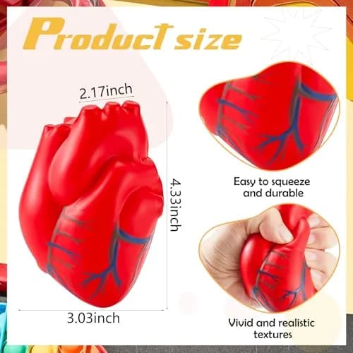 Hungdao Anatomy Heart Brain Stress Toy Set Foam Squeeze Balls 10.99cm (4.33in) x 7.70cm (3.03in) x 5.51cm (2.17in) | PU Foam thumbnail 2