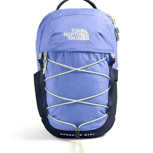 The North Face Borealis Mini Backpack 10L (22cm x 10.5cm x 34.3cm) | Iconic Durable Daypack for City Life thumbnail 1